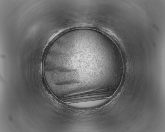 X0000090601220200708071135