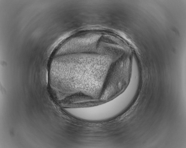 X0000090601221200708071135