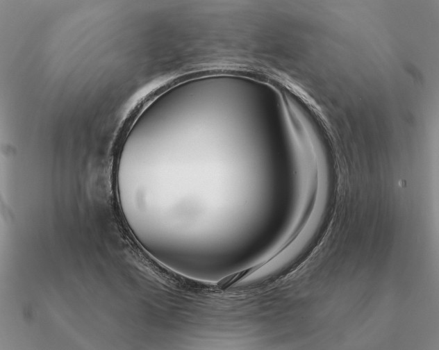 X0000090601222200708071135