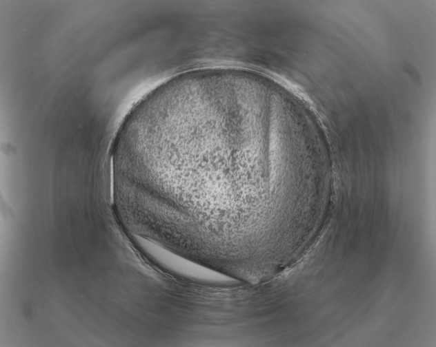 X0000090601223200708071135