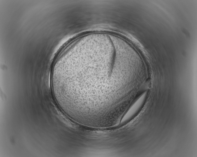 X0000090601224200708071135