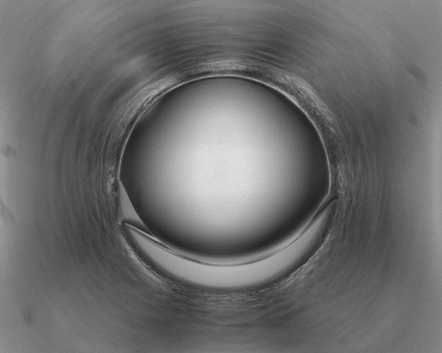 X0000090601225200708071135