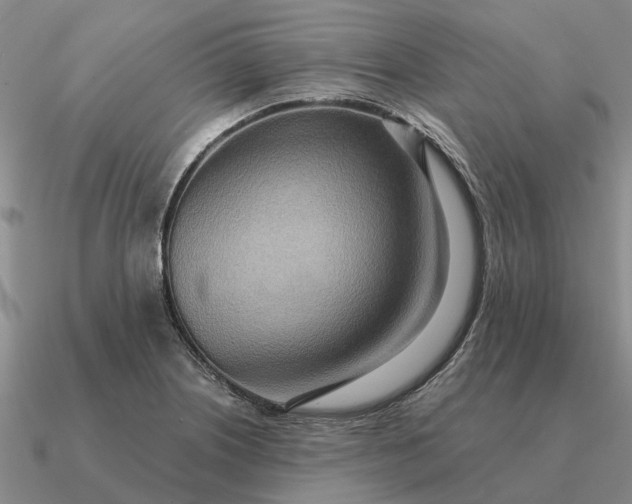 X0000090601226200708071135