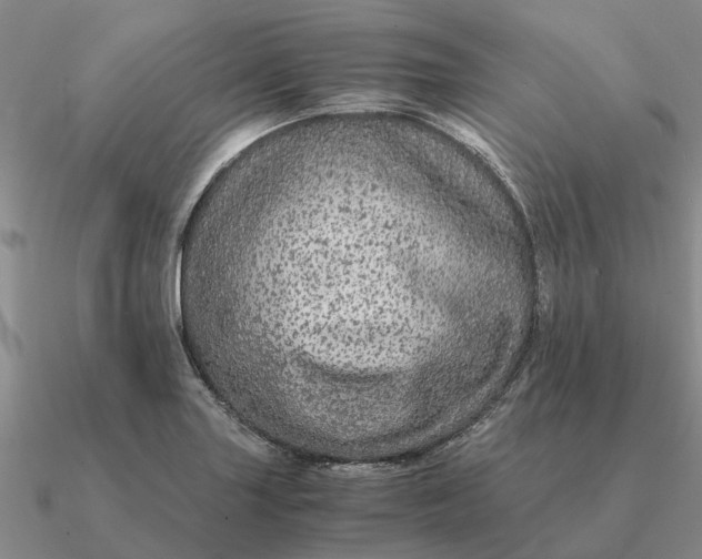 X0000090601227200708071135