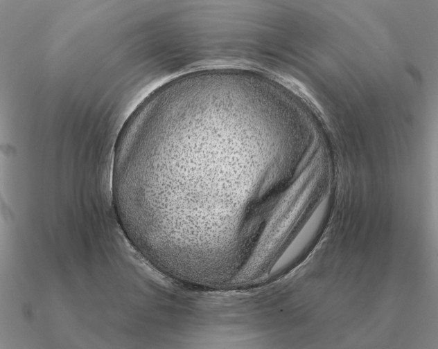 X0000090601228200708071135