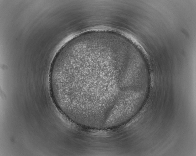 X0000090601229200708071136