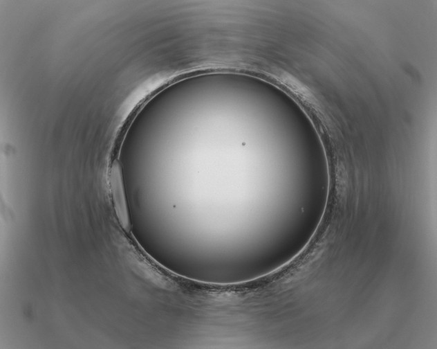 X0000090601230200708071136