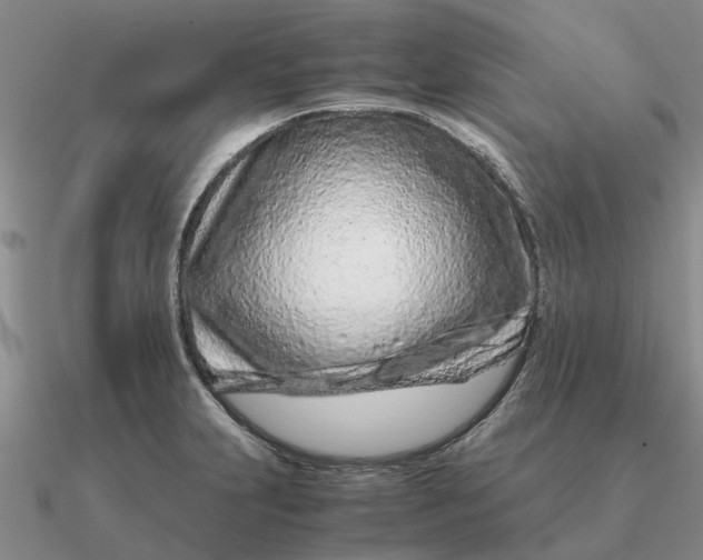 X0000090601231200708071136