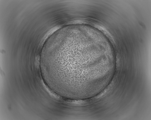 X0000090601233200708071136