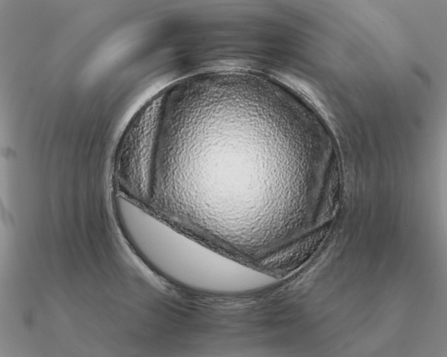 X0000090601235200708071136