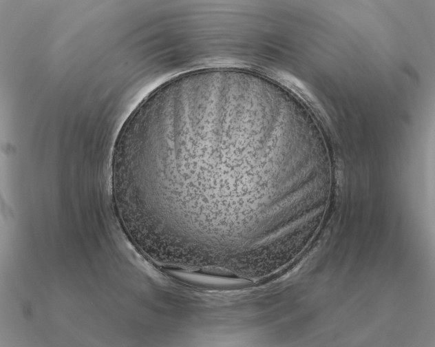 X0000090601236200708071136