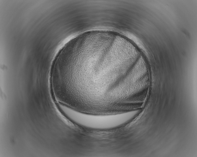 X0000090601237200708071136