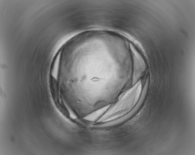 X0000090601239200708071136