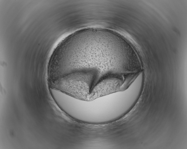 X0000090601240200708071136