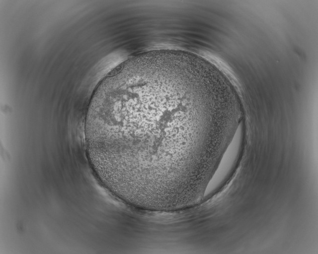 X0000090601241200708071136