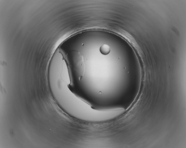 X0000090601242200708071136