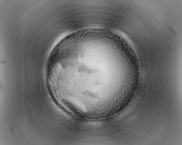 X0000090601243200708071136