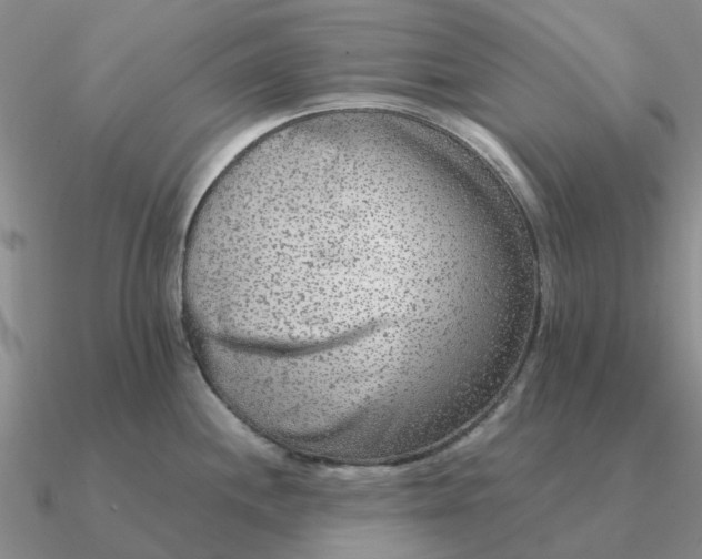 X0000090601244200708071136