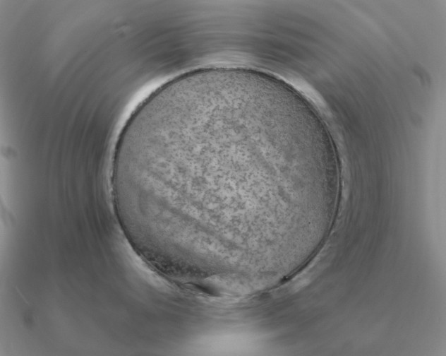 X0000090601248200708071136