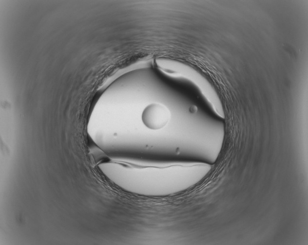 X0000090601249200708071135