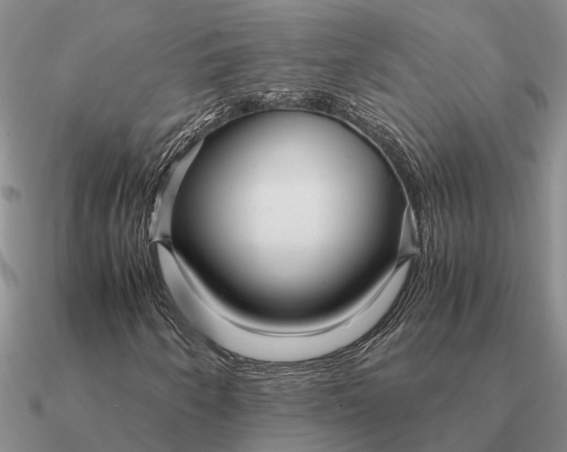 X0000090601250200708071135