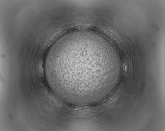 X0000090601252200708071135