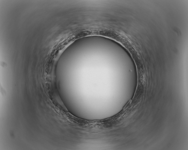 X0000090601253200708071135