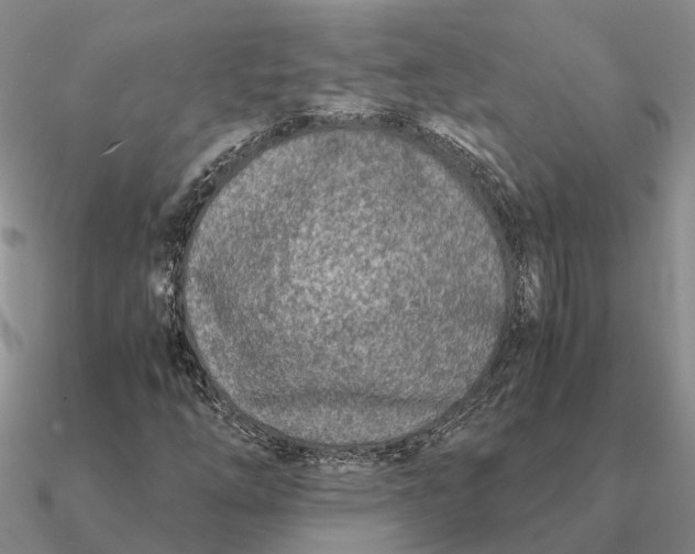 X0000090601254200708071135