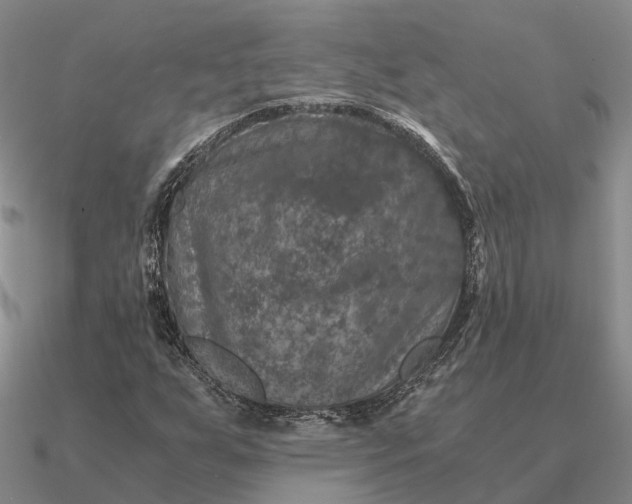 X0000090601255200708071135