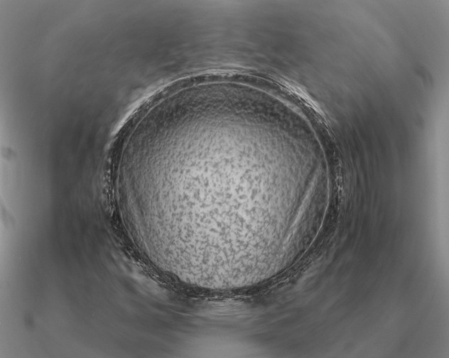 X0000090601256200708071135