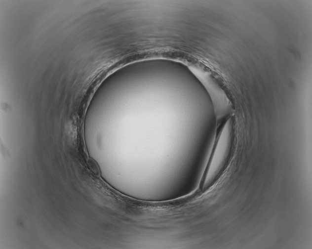 X0000090601257200708071135