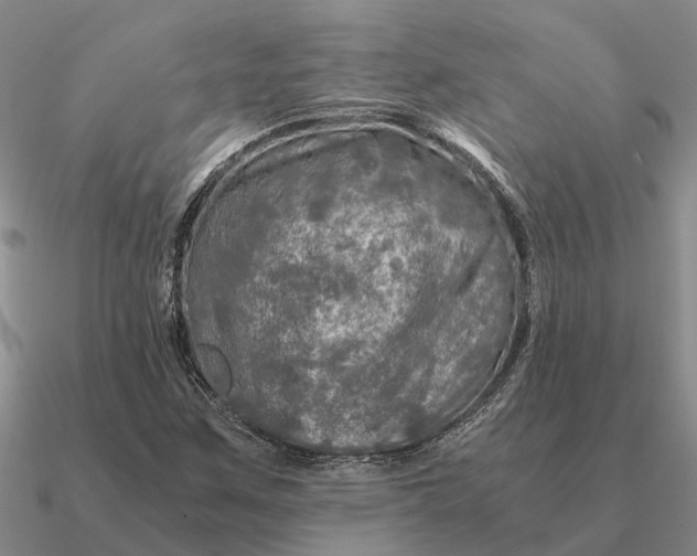 X0000090601259200708071135