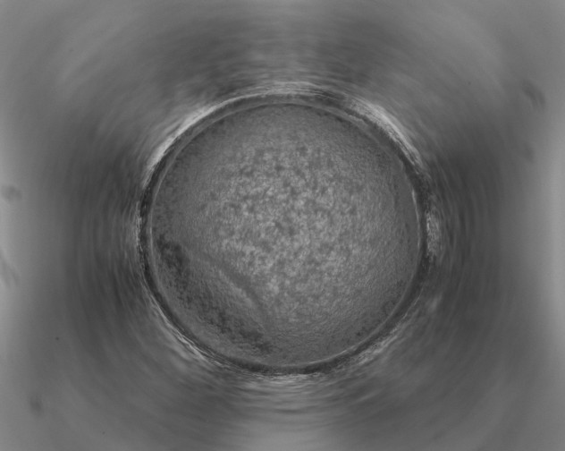 X0000090601260200708071135