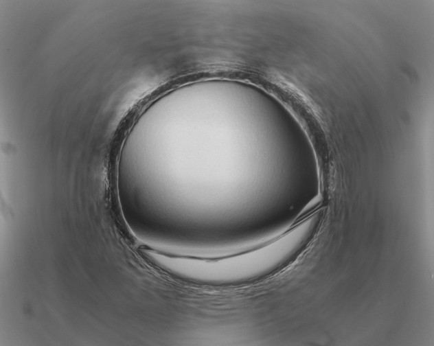 X0000090601261200708071135