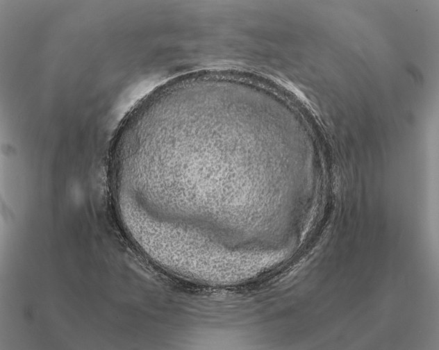 X0000090601263200708071135