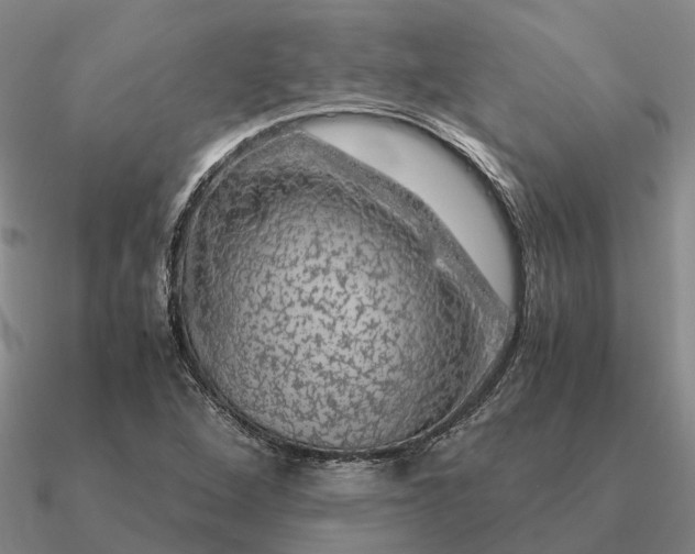 X0000090601264200708071135