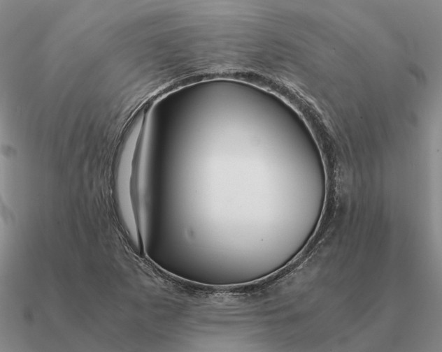 X0000090601265200708071135