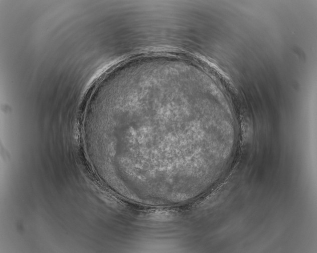 X0000090601266200708071135