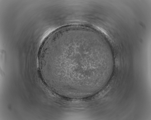 X0000090601267200708071135