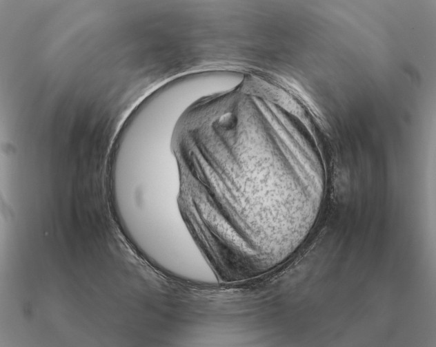 X0000090601268200708071135