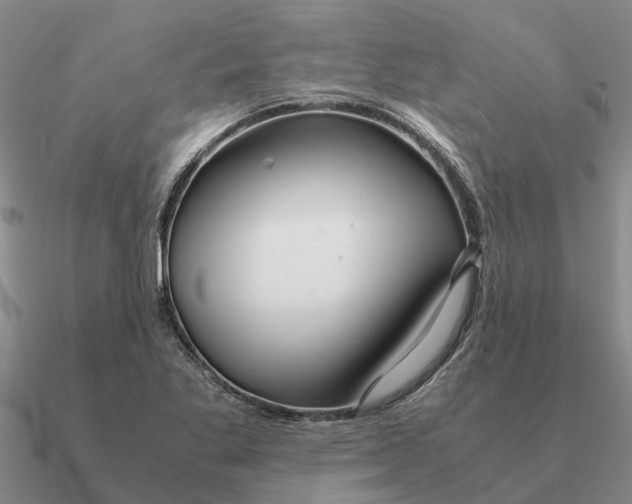 X0000090601269200708071135