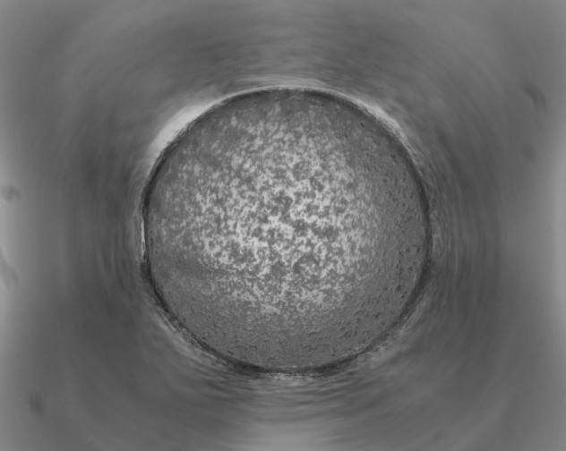 X0000090601271200708071135