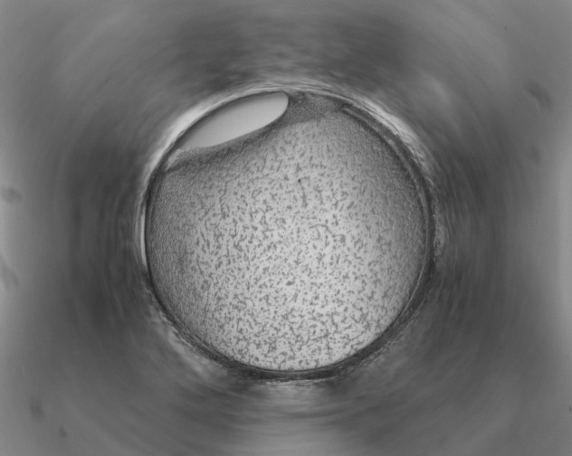 X0000090601272200708071135