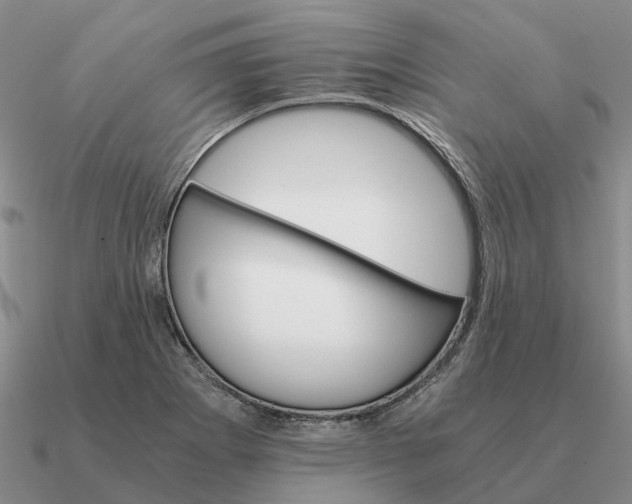 X0000090601273200708071135