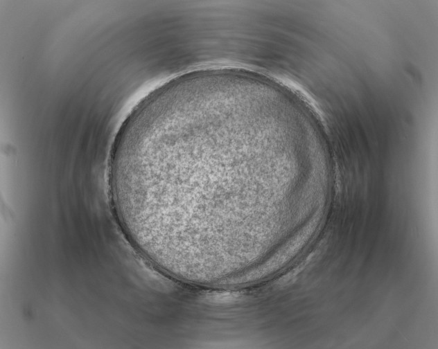 X0000090601278200708071135