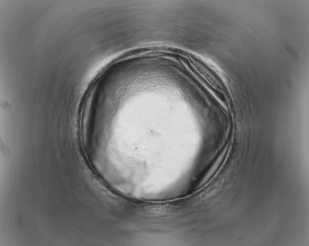 X0000090601279200708071135