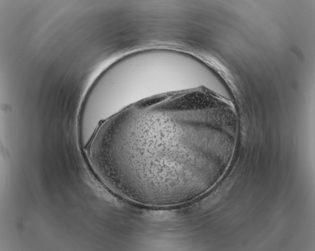 X0000090601280200708071135