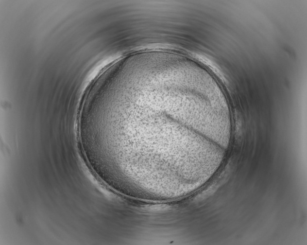 X0000090601282200708071135