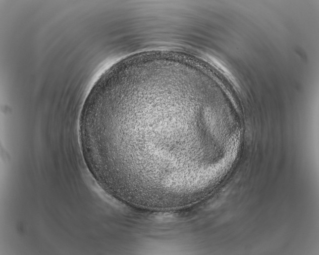 X0000090601283200708071135