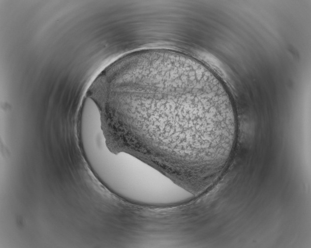 X0000090601284200708071135